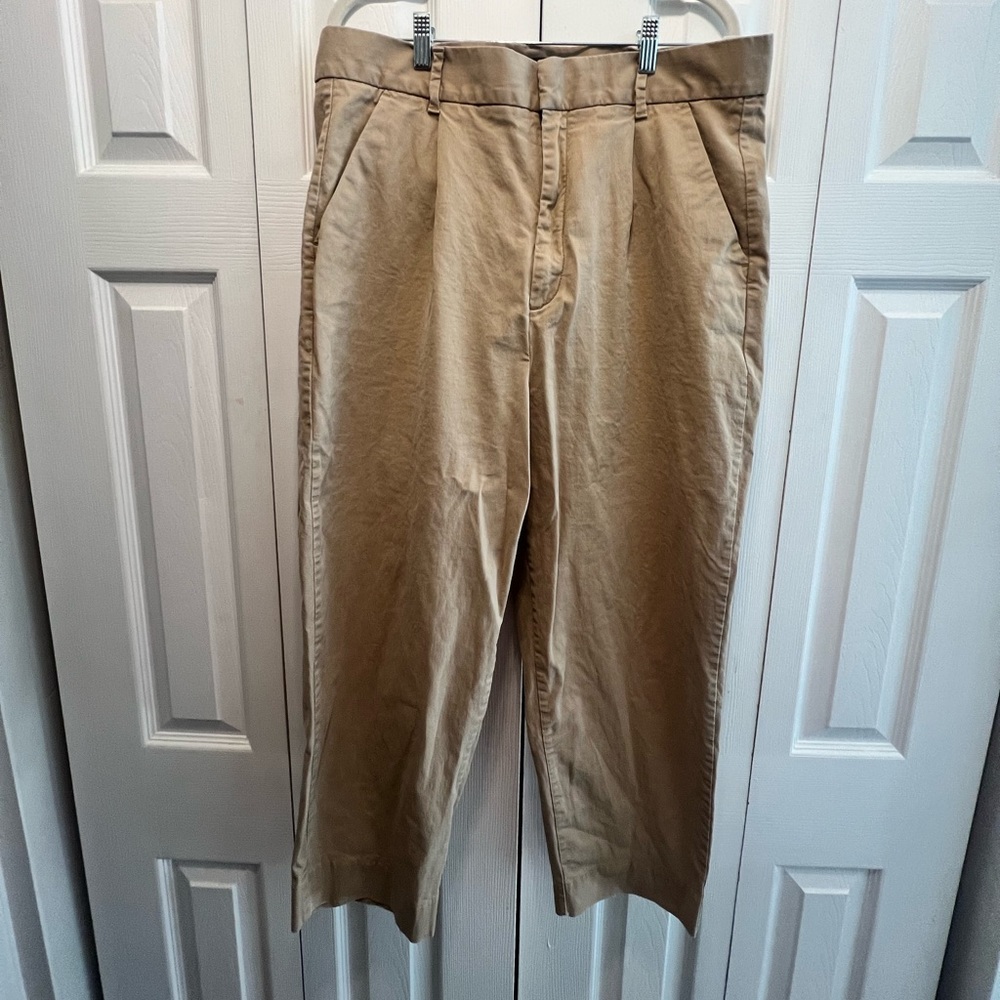 Banana Republic Pleated Crop Authentic Chino